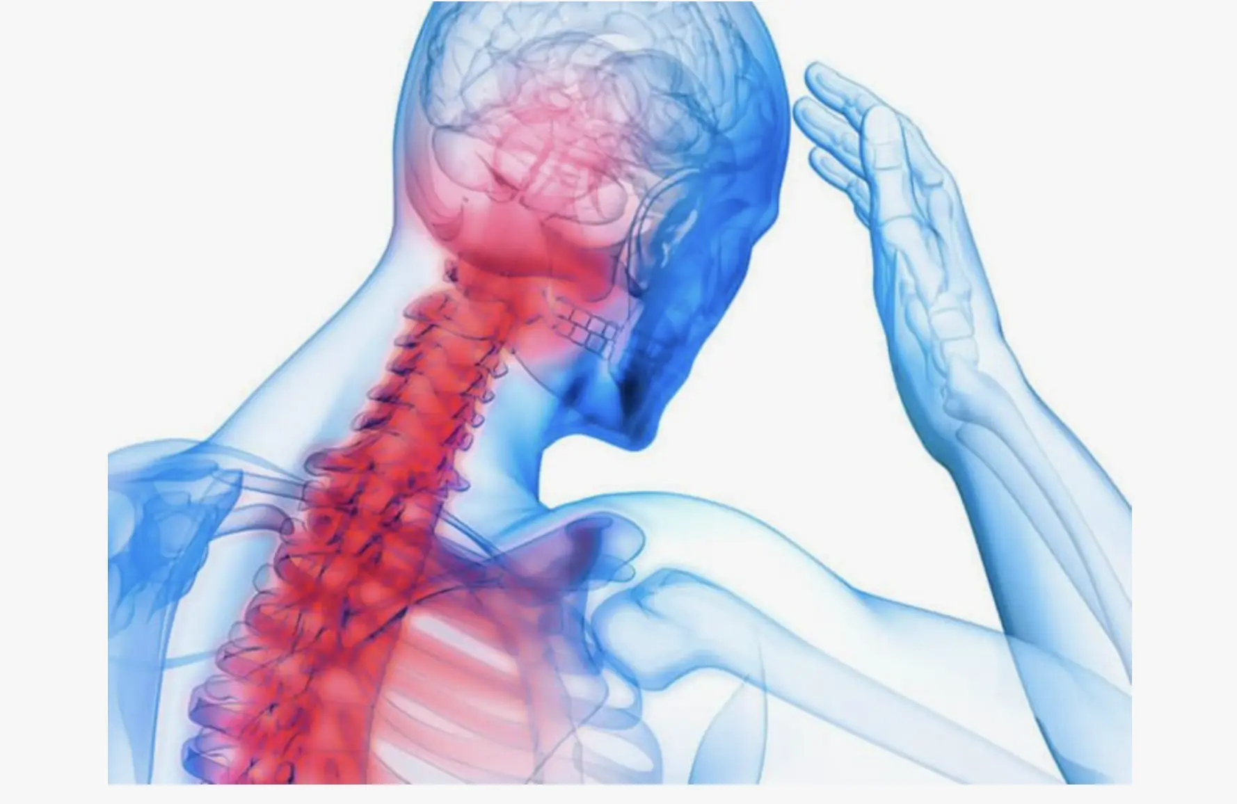 Schwindel Ursachen Halswirbelsäule